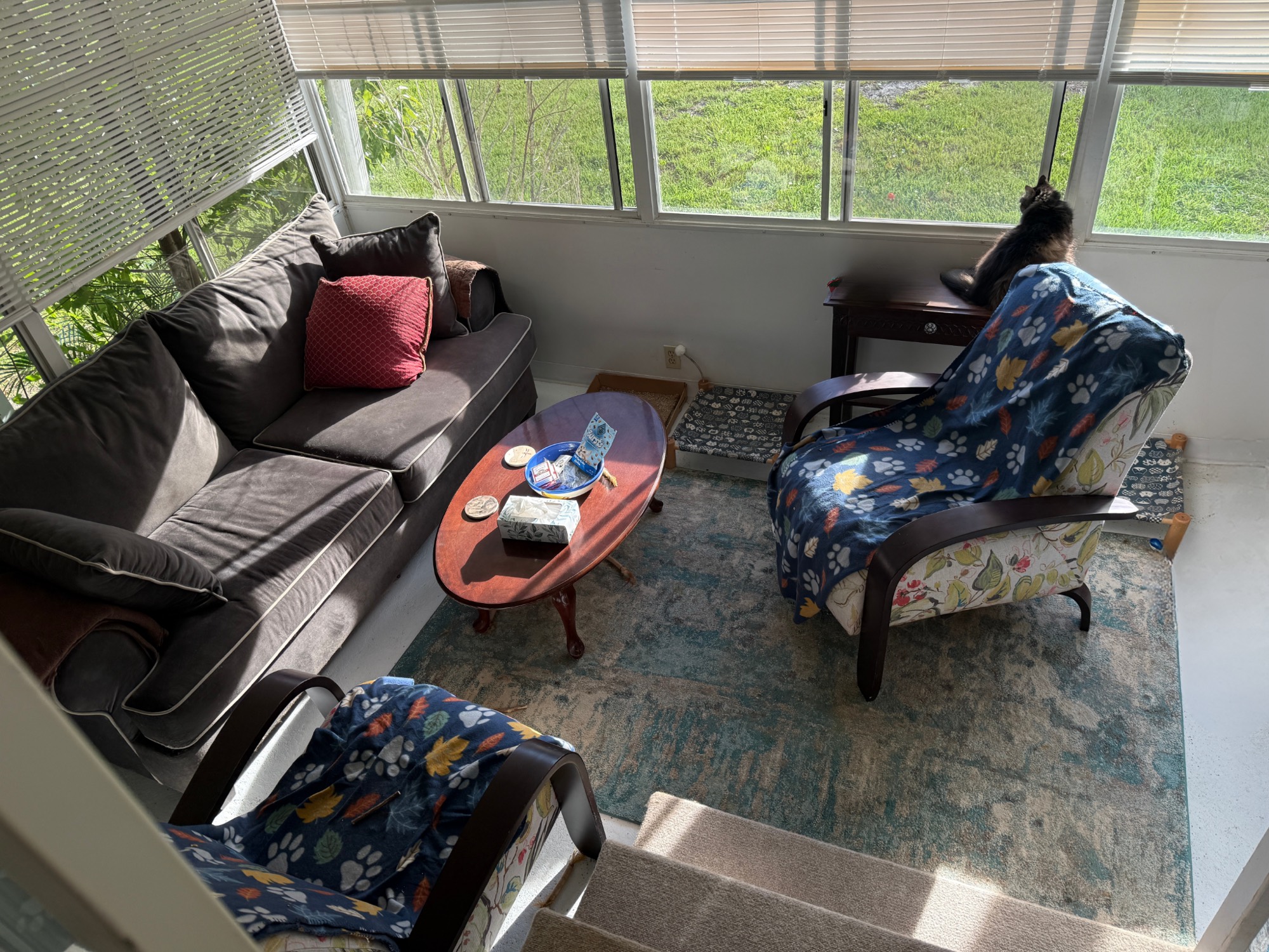 Florida room seating area with wraparound windows overlooking the yard