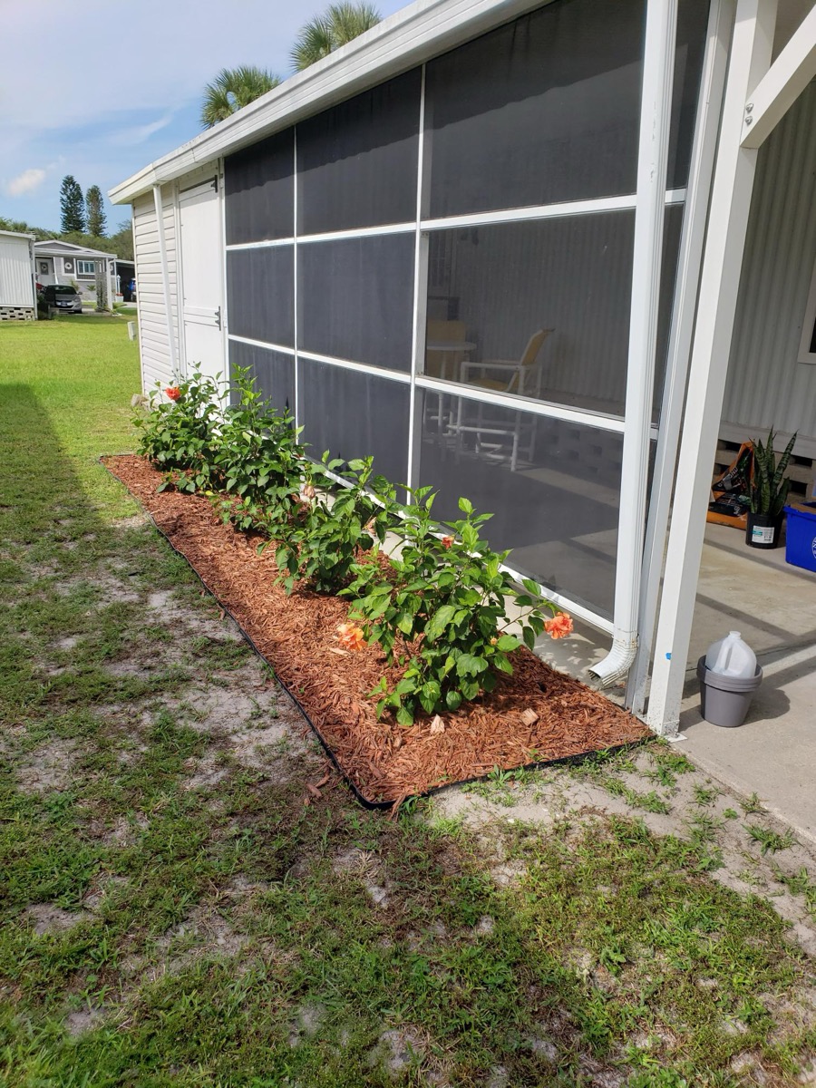 Screened porch exterior with blooming hibiscus garden