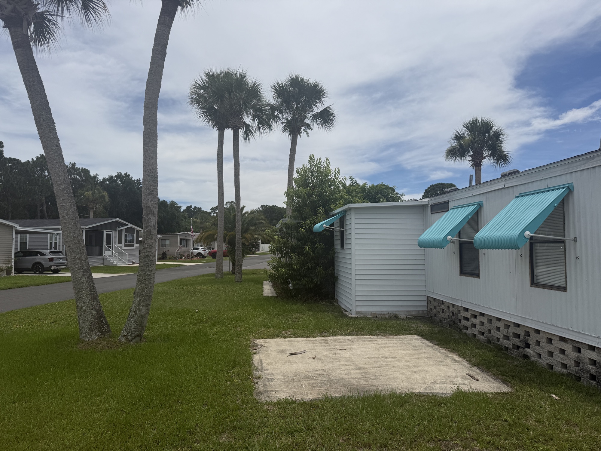Oversized private lot framed by mature palm trees