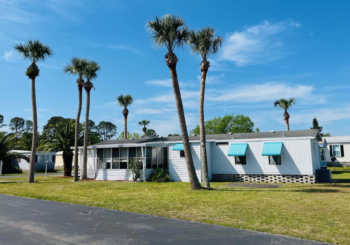 Wide street view with mature palm grove framing the home
